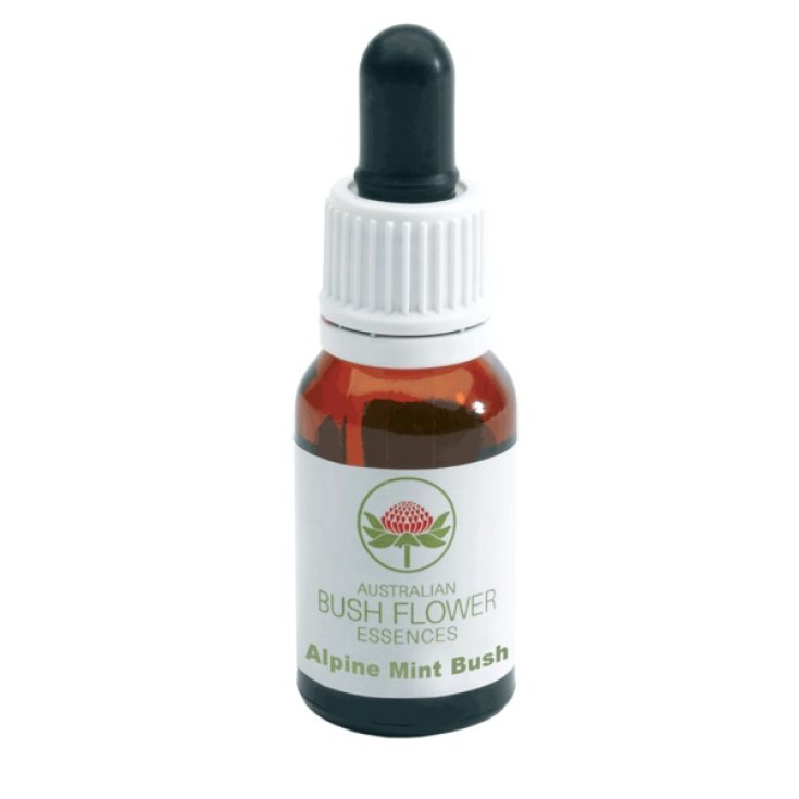 Alpine Mint Bush Essenza Singola Australian Bush Flower Essences 15ml