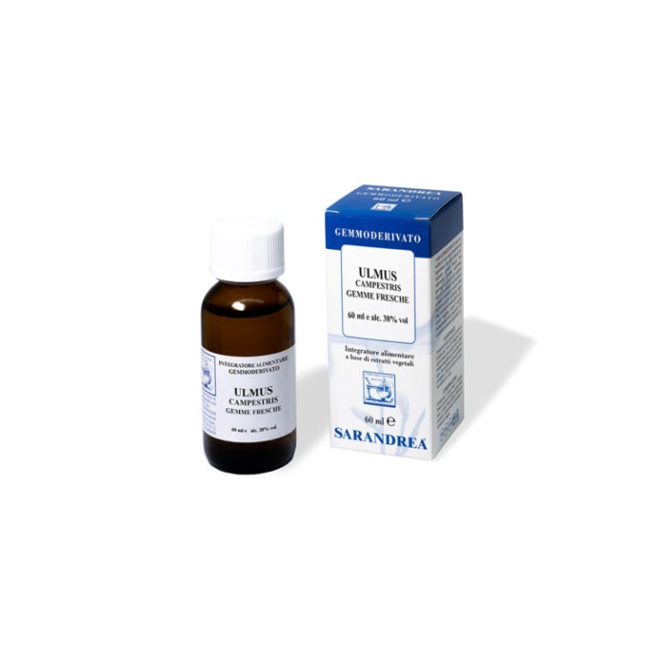 Ulmus Campestris MG Sarandrea 60ml