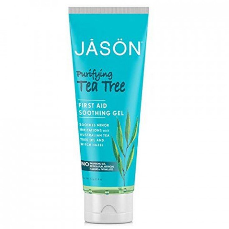 Tea Tree Purifying Jason 113ml
