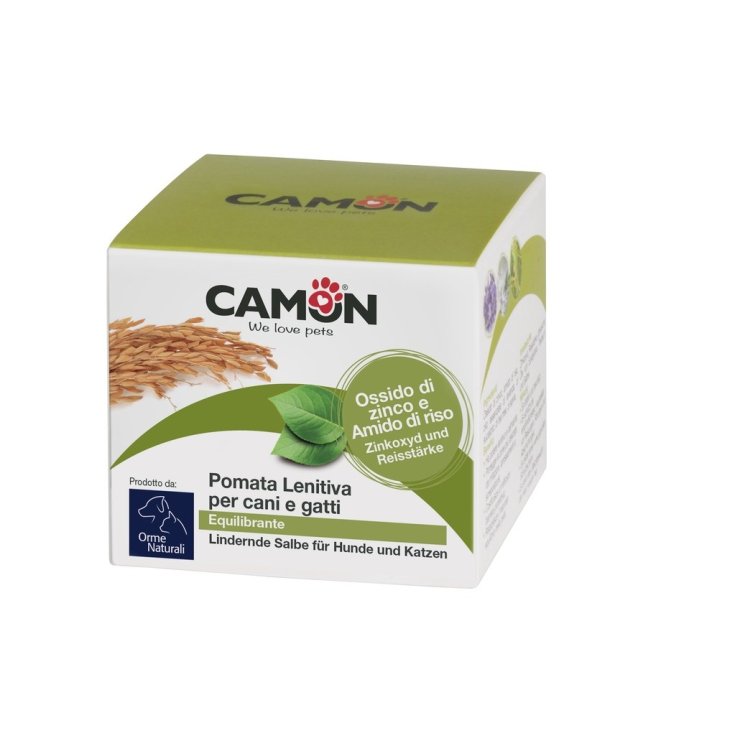 Crema Lenitiva Camon 100g