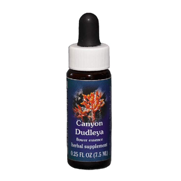 Canyon Dudleya Essenza Singola Californiana Natur 7,4ml