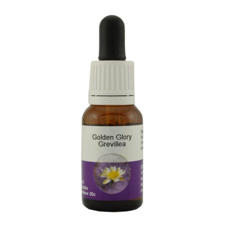 Golden Glory Grevillea Essenza Singola Australian Living Essences 15ml