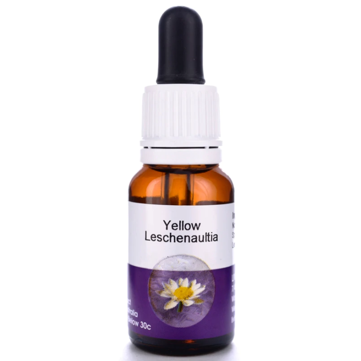 Yellow Leschenaultia Essenza Singola Australian Living 15ml