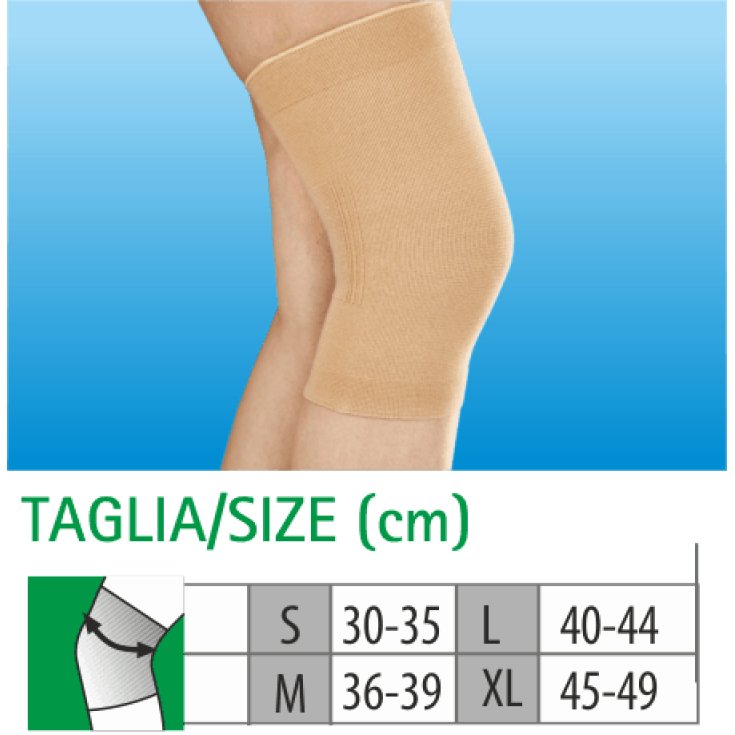 Ginocchiera In Cotone&nbsp;Tg.L&nbsp;Clia Ortho