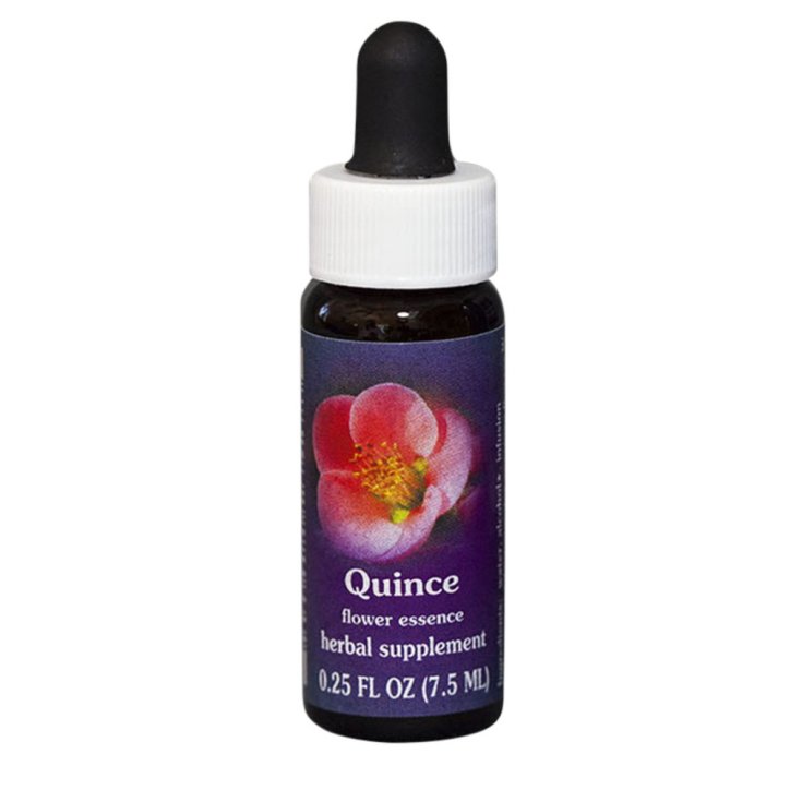 Quince Essenza Singola Californiana Flower Essence Society 7,4ml