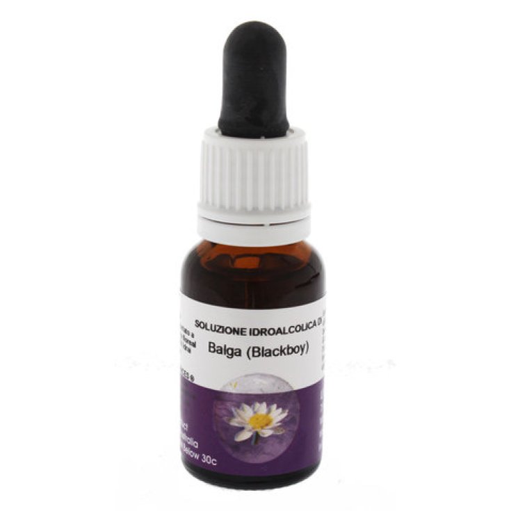 Balga Blackboy Essenza Singola Australian Living 15ml