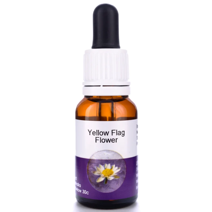 Yellow Flag Flower Essenza Singola Australian&nbsp;Living Essences 15ml