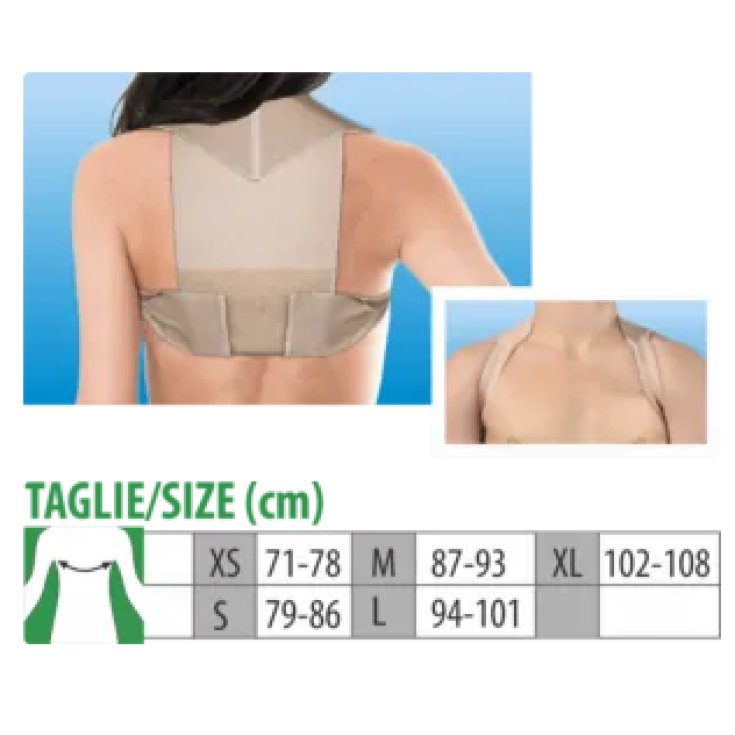 Raddrizzaspalle Tg.L&nbsp;Clia Ortho