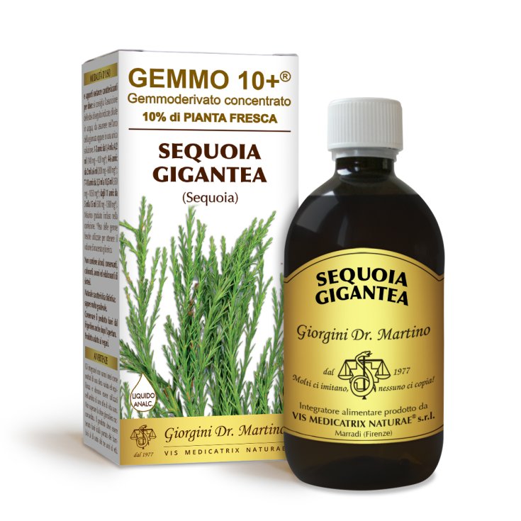 G10+ Sequoia Dr. Giorgini 500ml