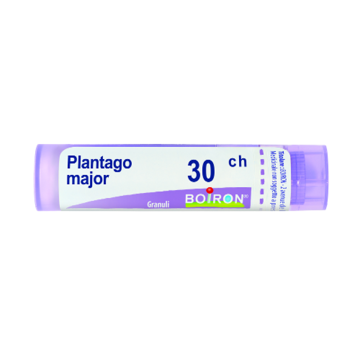 Plantago Major 30CH Boiron 80 Granuli