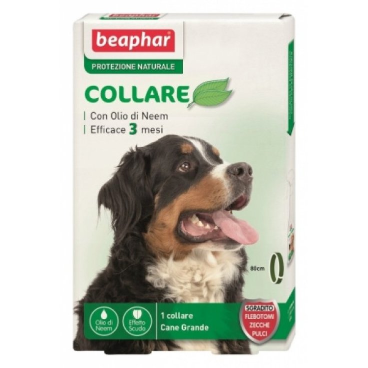 Protezione Naturale Collare Scudo Cane - 80CM