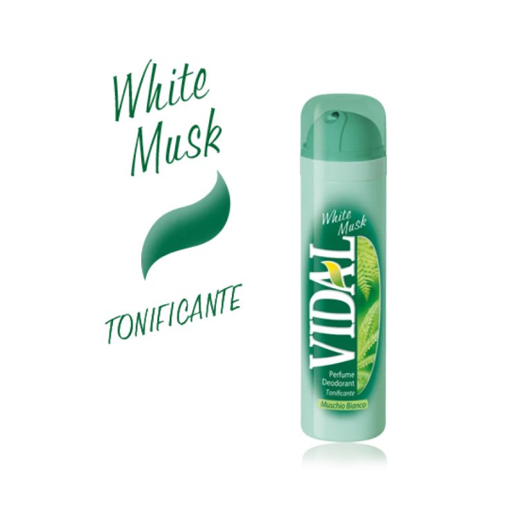 WILD MUSK Deodorante Spray VIDAL 150ml