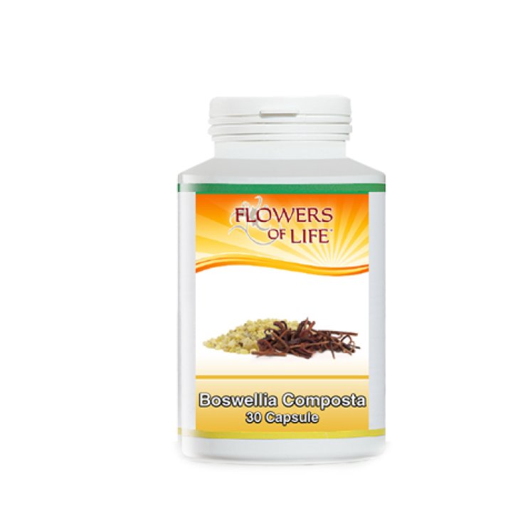 Boswellia Composta  Flowers Of Life 30 Capsule
