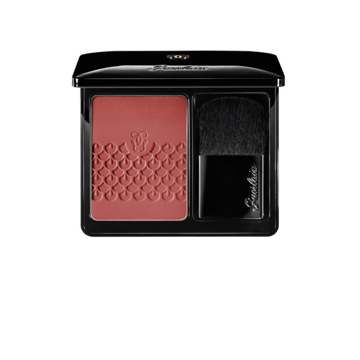 Blush 02 Chic Pink Guerlain