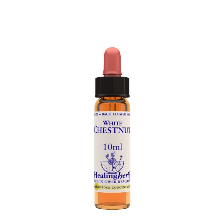 White Chestnut Bach Flower Remedy Healing Herbs 10ml
