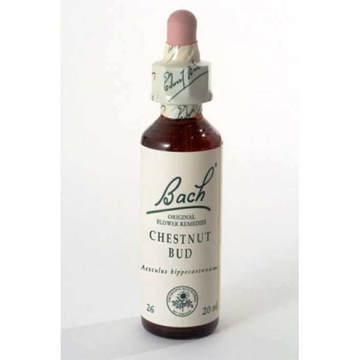 Chestnut Bud Fiori Di Bach&reg; Original 20ml