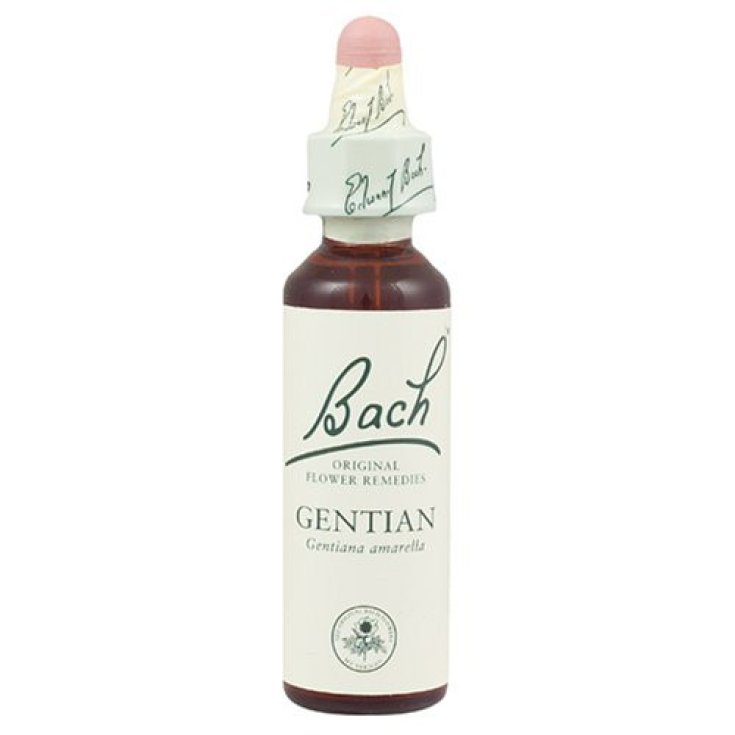 Gentian Fiori Di Bach&reg; Original 20ml