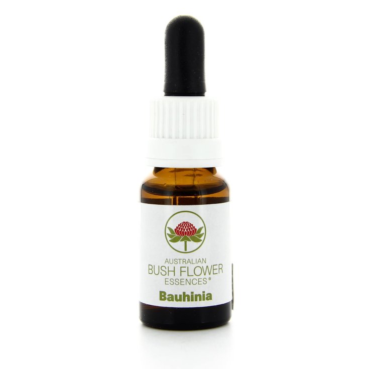 Bauhinia Essenza Singola Australian Bush Flower Essences 15ml