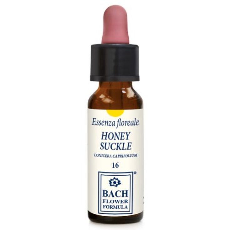 Honeysuckle Essenza Floreale Erba Vita 10ml