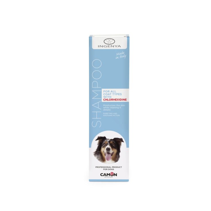 Shampoo con Clorexidina Ingenya Camon 250ml
