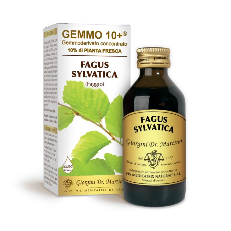 G10+ Faggio (Fagus Sylvatica) Dr. Giorgini 100ml
