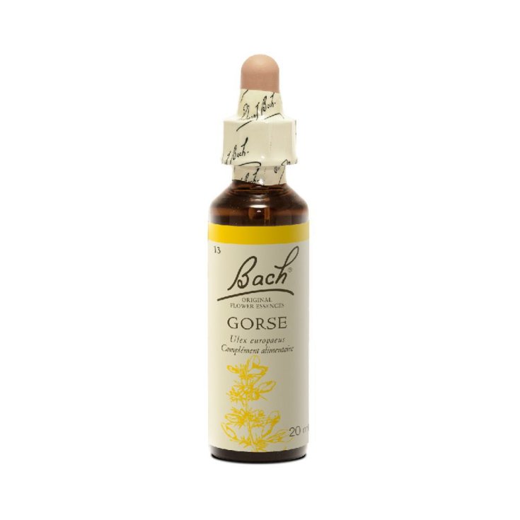 Gorse Fiori di Bach&reg; Originali 20ml