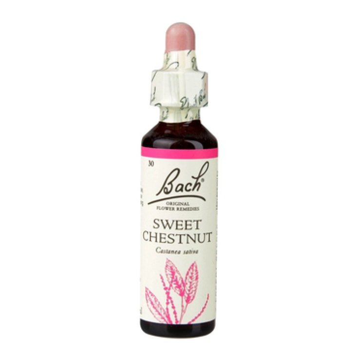 Sweet Chestnut Fiori di Bach&reg; Original 20ml