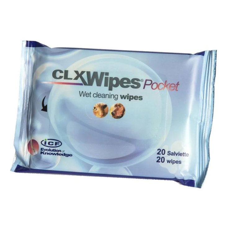 CLX Wipes Pocket 20 Pezzi