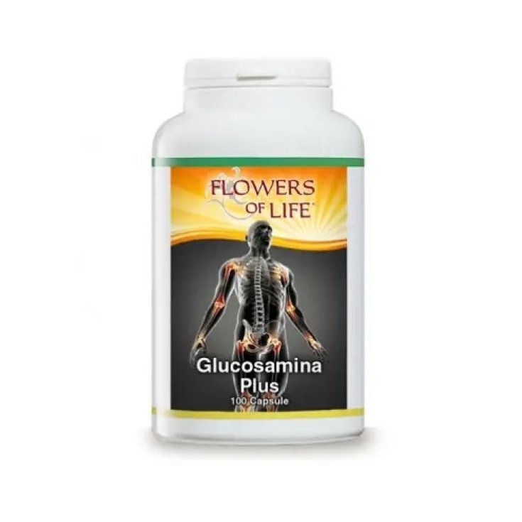 Glucosamina Plus Flowers Of Life 100 Capsule