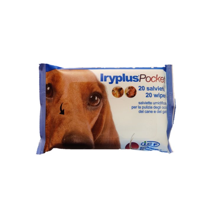 Iryplus Pocket - Salviette