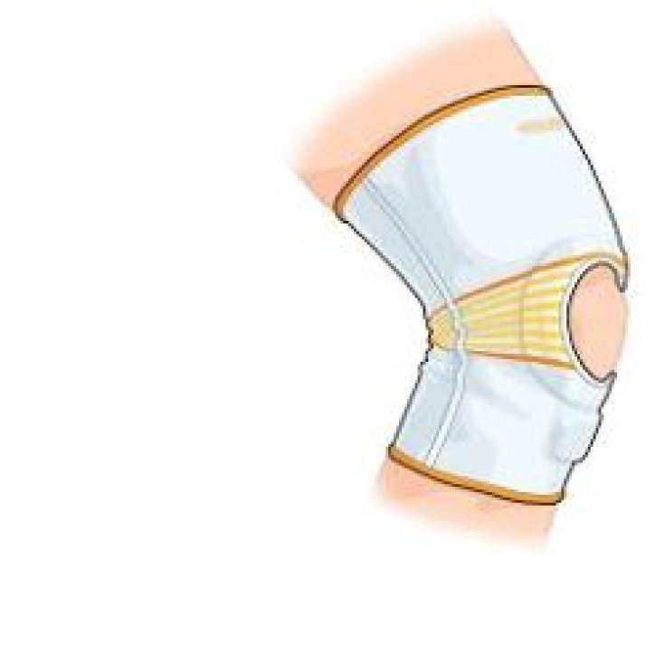 Dr.Gibaud Ortho Ginocchiera Rotulea 1