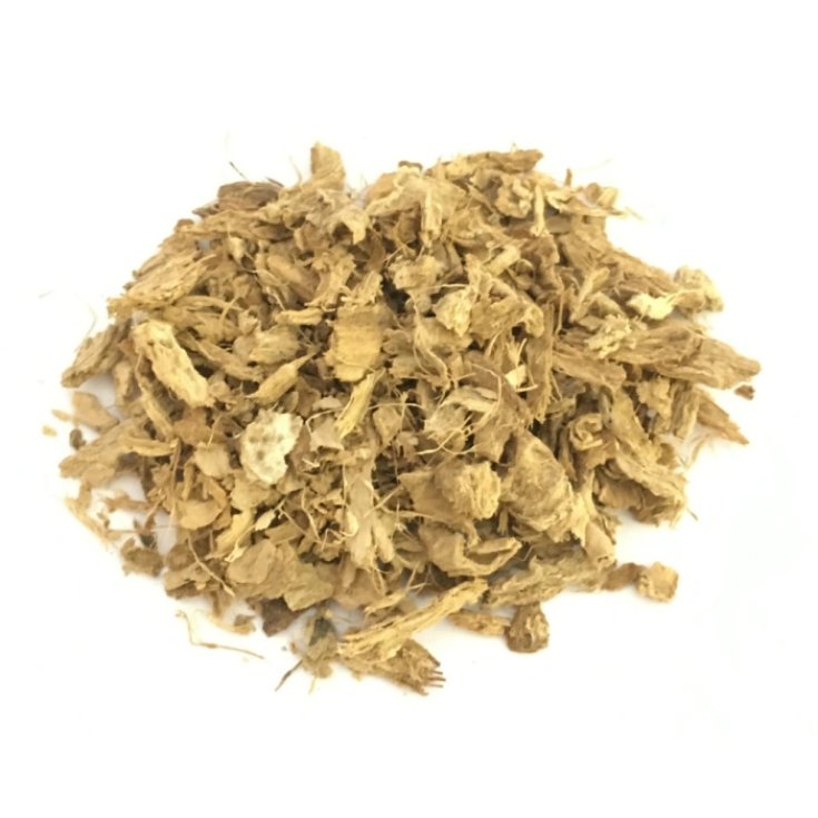Zenzero Rizoma TT Farmalabor 100g