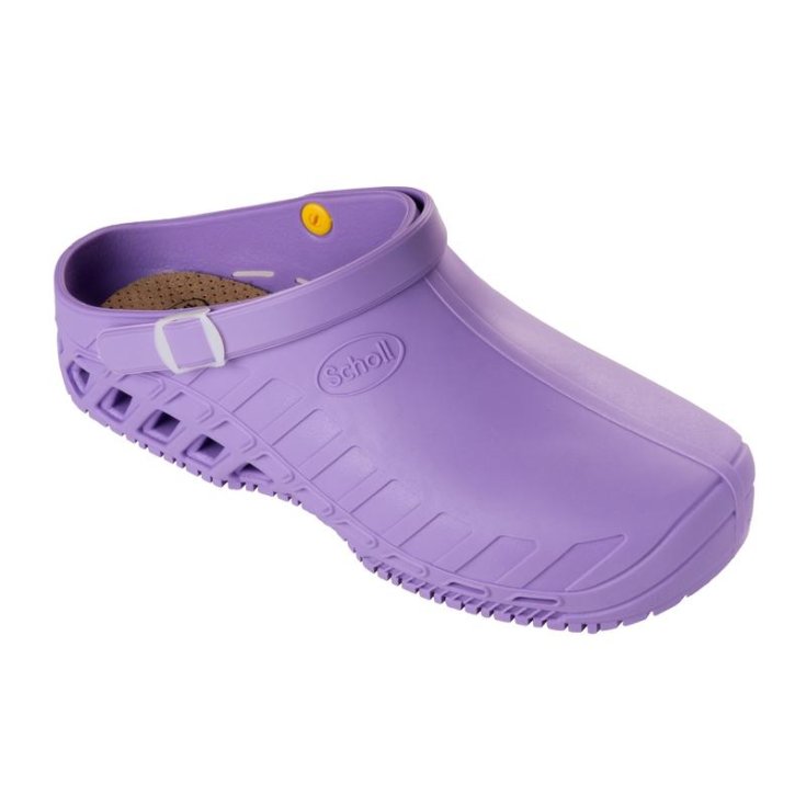 Clog Evo&nbsp;Unisex Scholl Lilla 40-41