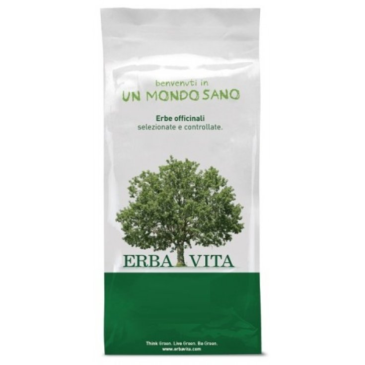 Coda Cavallina/Equiseto Tisane Erba Vita 1kg