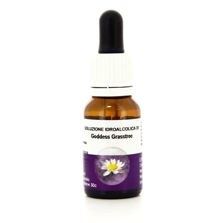 Goddess Grasstree Essenza Singola Australiana Living Essences 15ml