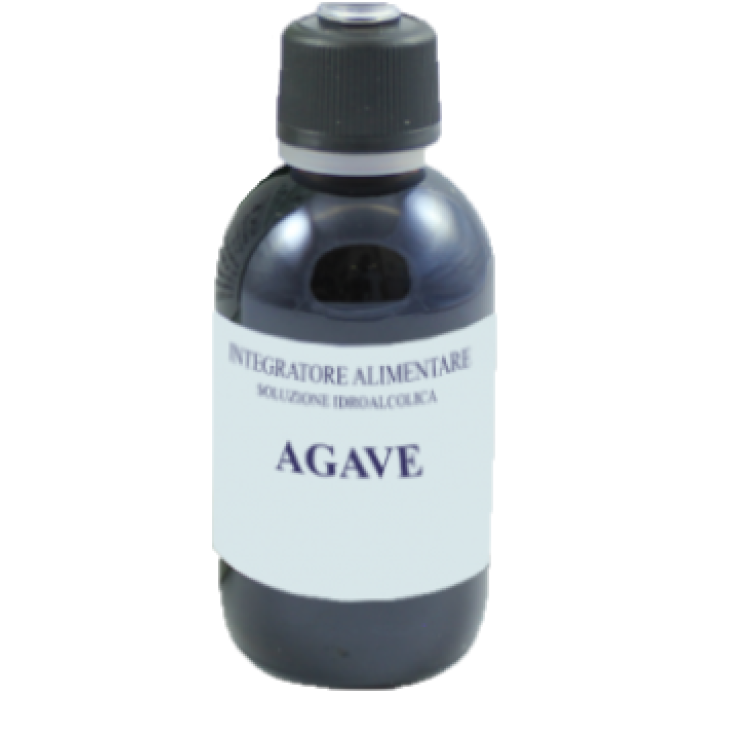 Agave Sarandrea 1000ml
