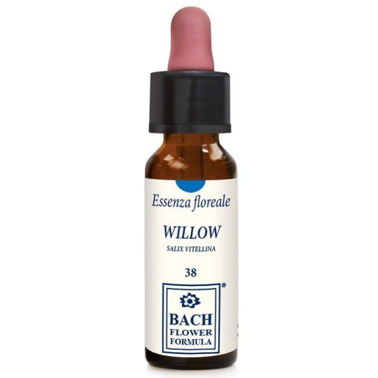 Willow Original Essenza Floreale Erba Vita 10ml