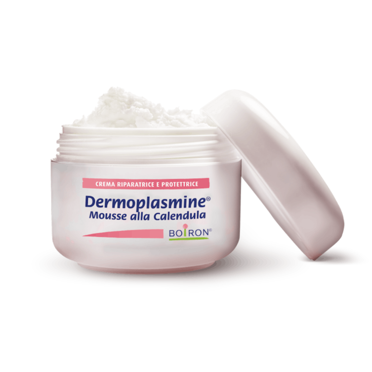 Dermoplasmine&reg; Mousse Boiron 20g