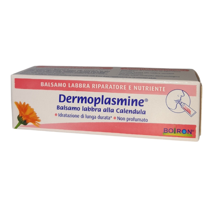 Dermoplasmine&reg; Labbra Boiron Stick 4g