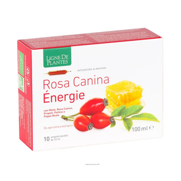 Rosa canina &eacute;nergie BIO Ligne De Plantes&reg; 10 Ampolle