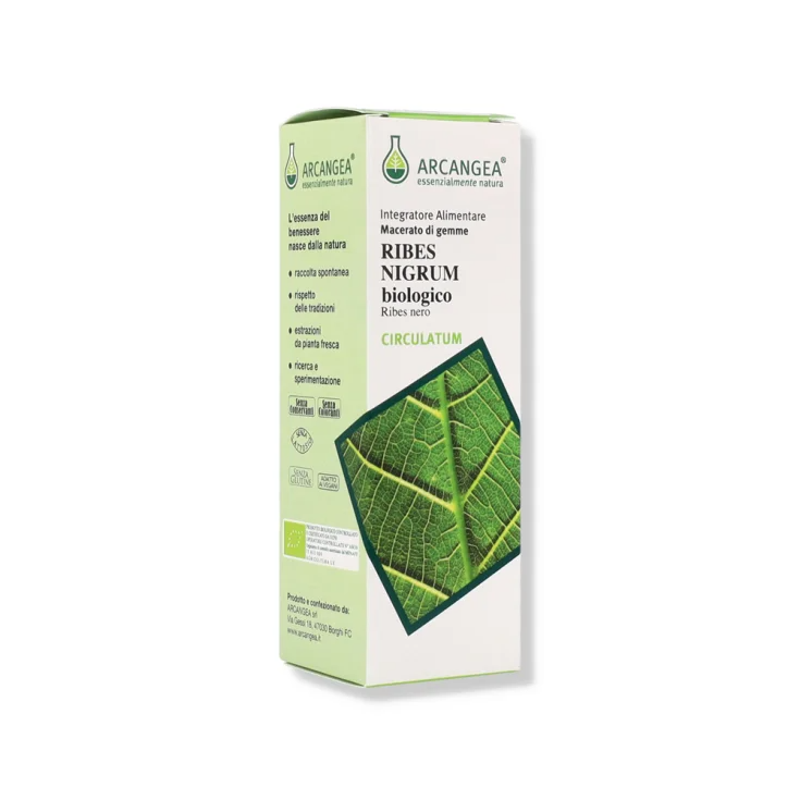 Ribes Nigrum Bio Circulatum Gemmoderivato Arcangea&reg; 100ml