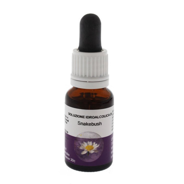 Snakebush Essenza Singola Australian Living 15ml