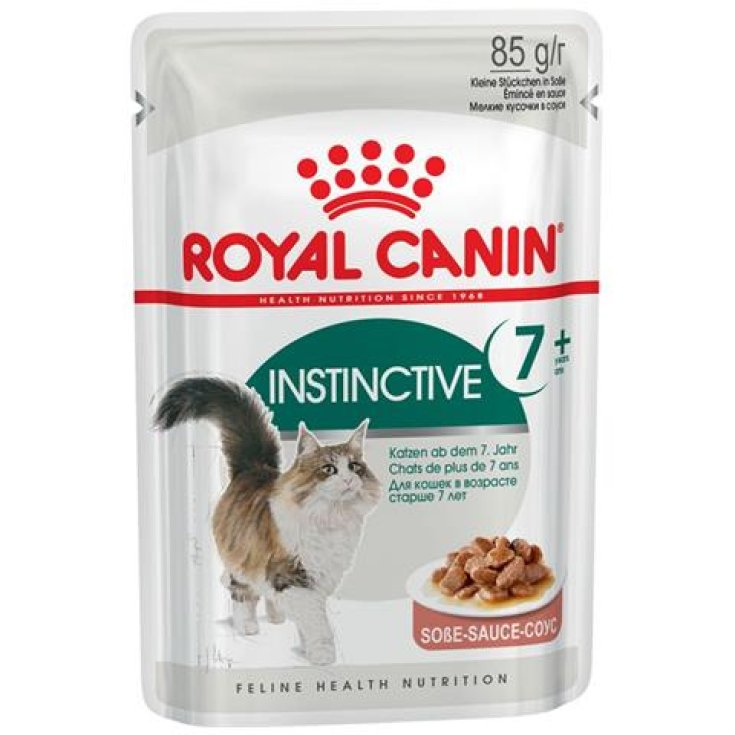 Instinctive +7 in Salsa - 85GR