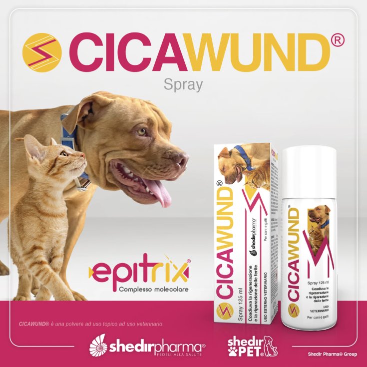 CICAWUND&reg; SPRAY ShedirPharma&reg; 125ml