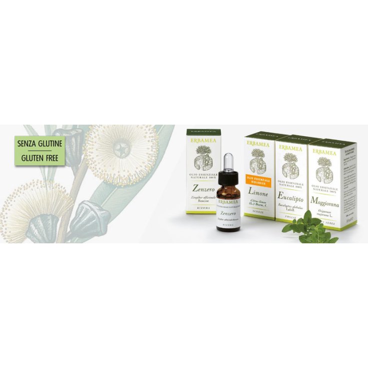 Zenzero Olio Essenziale ERBAMEA 10ml