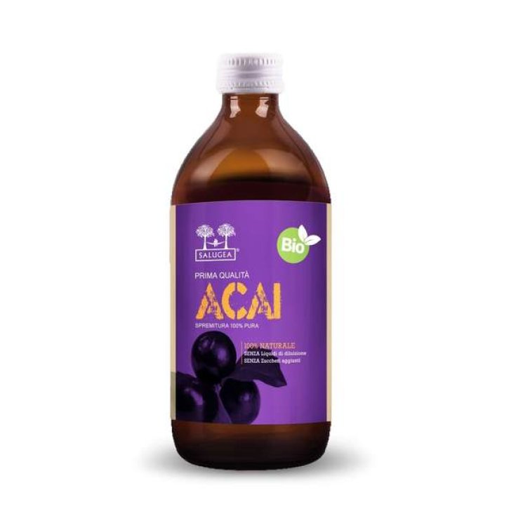 SUCCO ACAI BIO SALUGEA&reg; 500ML