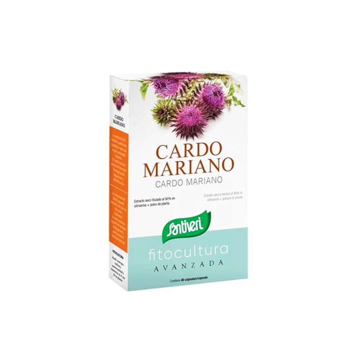 Cardo Mariano Santiveri 40 Capsule