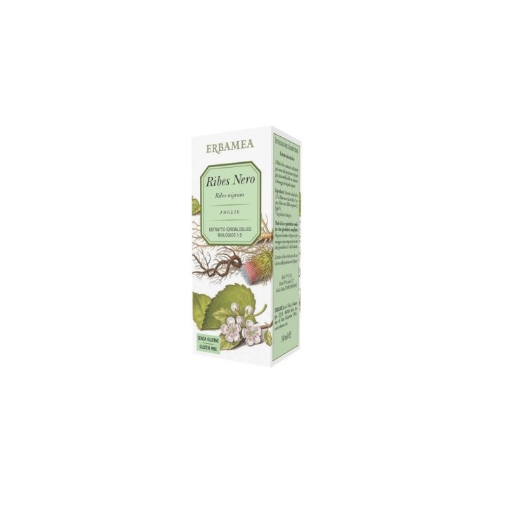 Ribes Nero ERBAMEA 50ml