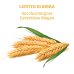 Lievito di Birra Puro Colours of Life OPTIMA 120 Compresse