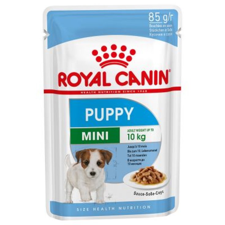 Mini Puppy - 85GR